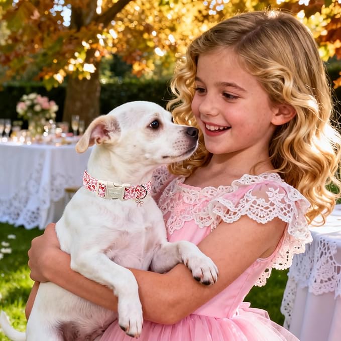 DOGWONG Cute Dog Collar, Pink Bow Pattern Dog Collar, Girl Female Dog Collars with Strong Plastic Buckle for Large Dogs,XL