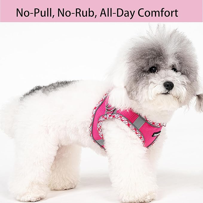 Petank Dog Harness for Small Medium Dogs No Pull, Puppy Harness and Leash Set for Walking, Running, Training, Small Dog Harness, Medium Dog Harness (Rose Red, S)