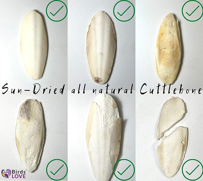 Birds LOVE Natural Cuttlebone | 100% Pure Sun-Dried Calcium Supplement for Birds, Tortoises, Snails & Crabs | Supports Beak & Shell Health | Easy to Chew | 12 Pack, Size 7.5 to 8"