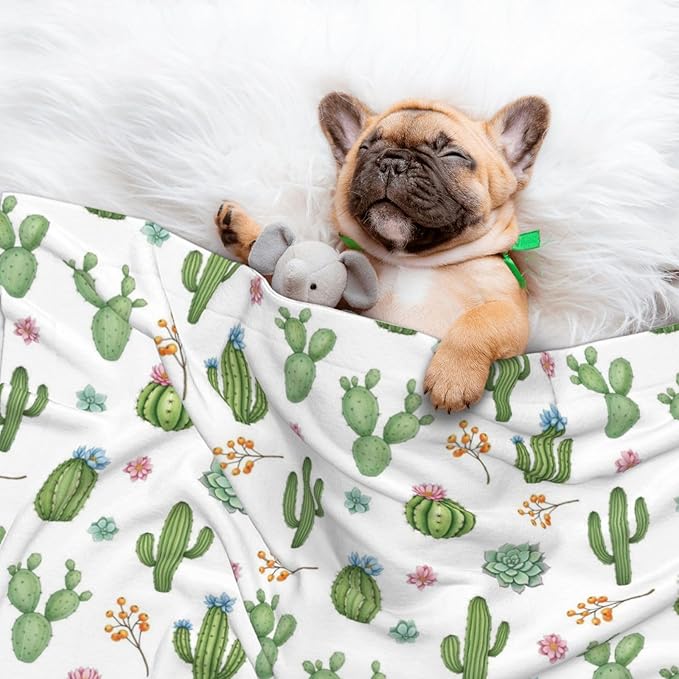Double Sided Pet Throw for Dogs Who Shed, Watercolor Elements Succulent Plants Cactus, Reversible Blanket with Nubby Dot Side Catches Loose Fur for Easier Furniture Cleanup
