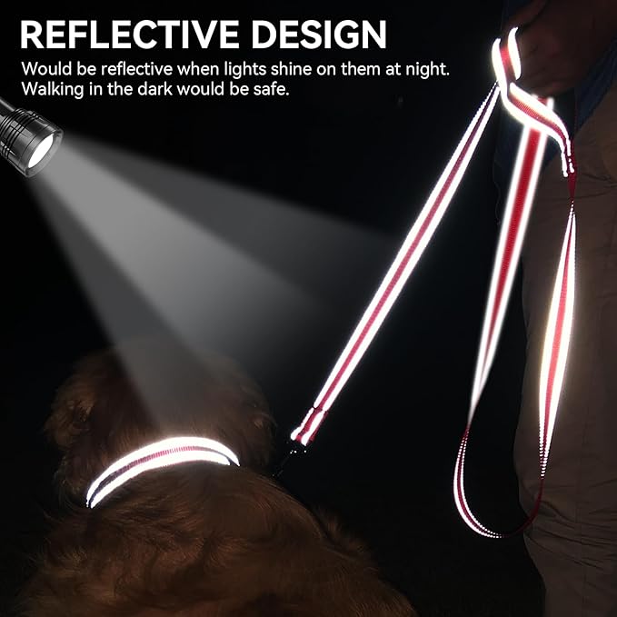 Joytale Dog Leash, 6 FT Double-Sided Reflective, Padded Handle Nylon Heavy Duty Leashes for Small Dogs Walking, Red