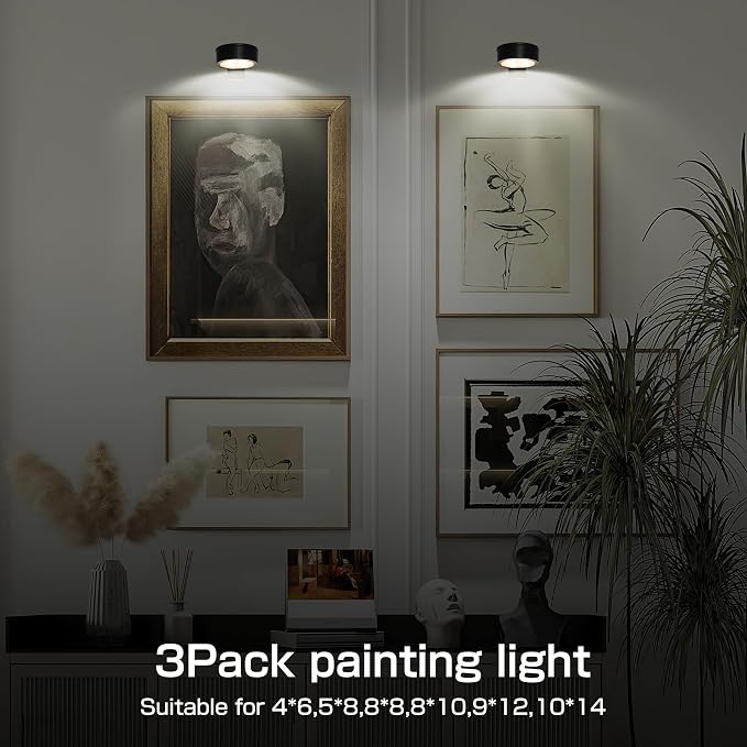 2-Pack Picture Light for Paintings Battery Operated Art Light