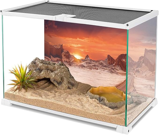 AWERT 36x18 inches Sun and Desert Terrarium Background Orange Reptile Habitat Background Durable Polyester Background