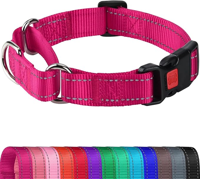 Joytale Martingale Collar for Dogs, Reflective Heavy Duty for Safety, Quick Release Buckle, Adjustable Nylon Collars for Puppy and XSmall Dogs Walking Training, Hotpink,XS