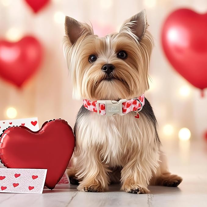 Valentines Dog Collar for Small Dogs - Cute Pink Girl Dog Collar, Doodle Heart Pattern, Adjustable Valentine Dog Collars with Red Heart Charm S