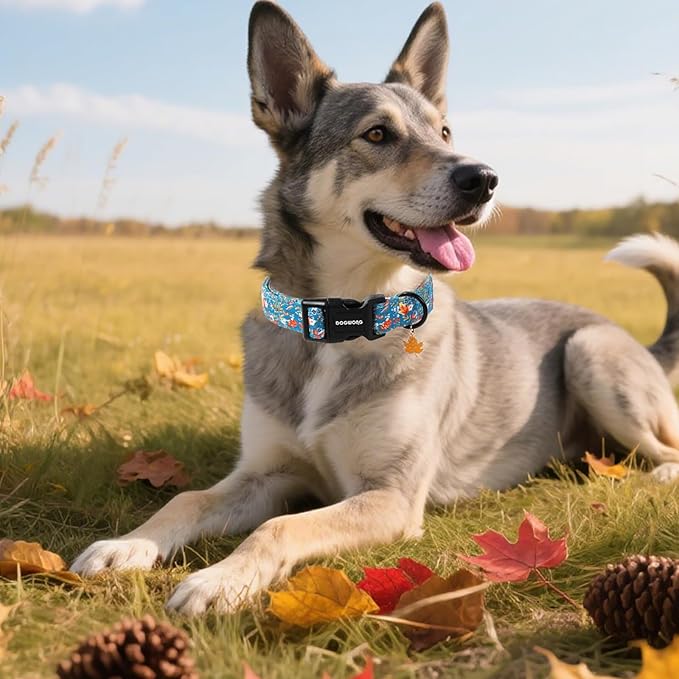 DOGWONG Fall Maple Dog Collar- Cute Classic Fall Autumn Flower Dog Collars Adjustable Fall Dog Collar for Small Medium Large Dogs XL