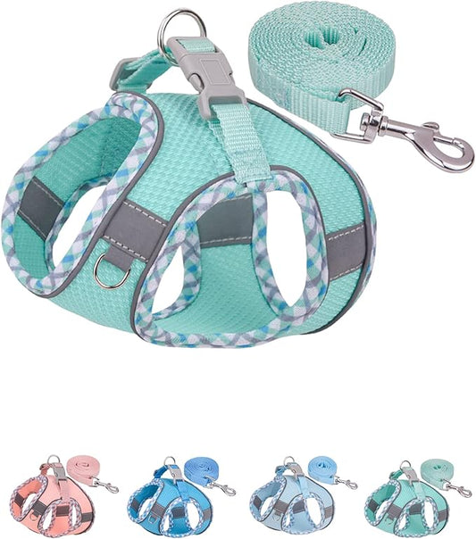Petank Dog Harness for Small Medium Dogs No Pull, Puppy Harness and Leash Set, Step in Dog Harness for Walking, Running, Training, Small Dog Vest(Green, S)