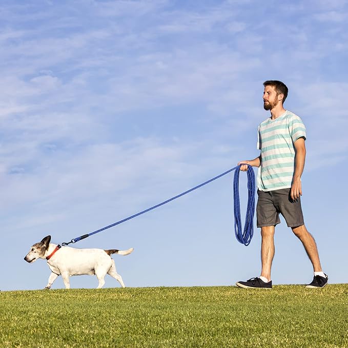 Long Dog Leash for Training 30Ft-Reflective Nylon Rope with Swivel Hook-Recall Agility Lead for Large Small Medium Dogs Outside Walking Hiking-Royal Blue