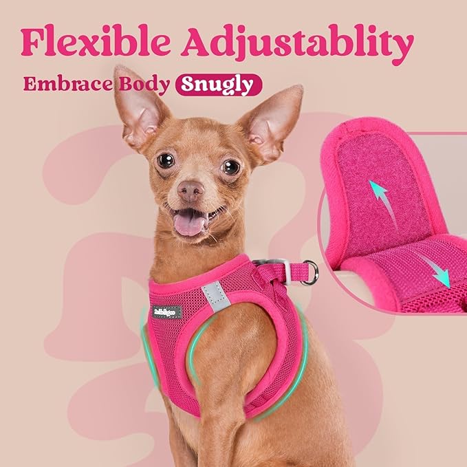 rabbitgoo Small Dog Harness, Step-in Soft Mesh Puppy Vest with Safety Buckle, Breathable Reflective Pet Harness for Extra Small Dogs, Rose Red XXS