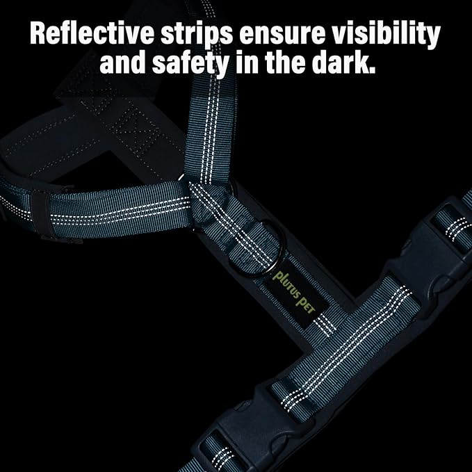 Plutus Pet No Pull Dog Harness, Adjustable Nylon Harness with Soft Padding, Reflective and Heavy Duty Dog Harness for Small, Medium, Large Dogs(Cyan, L)