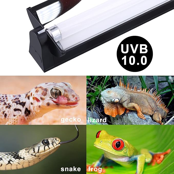 Aiicioo T5 UVB Reptile Light - Desert 10.0 UVA UVB Light Fixture & High Output UVA UVB T5 Bulb for Reptiles Chameleon Gecko Chameleon Gecko (46Inch 54W)