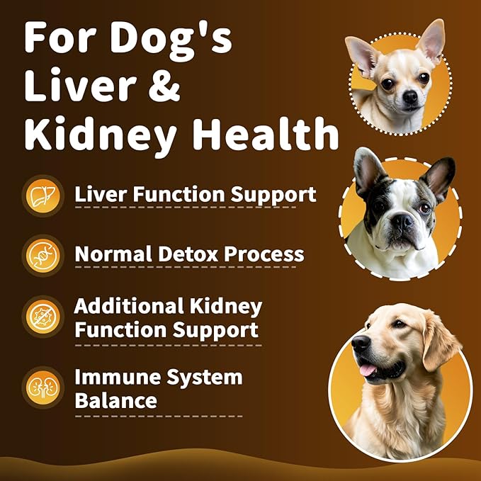 (2 Pack) Poppaw Milk Thistle for Dogs, 9-in-1 Liver & Kidney Support Drops with Artichoke, Resveratrol, Marigold Extract, Natural Detox Herbal Supplement for Liver Function, Bacon Flavor, 2 Oz