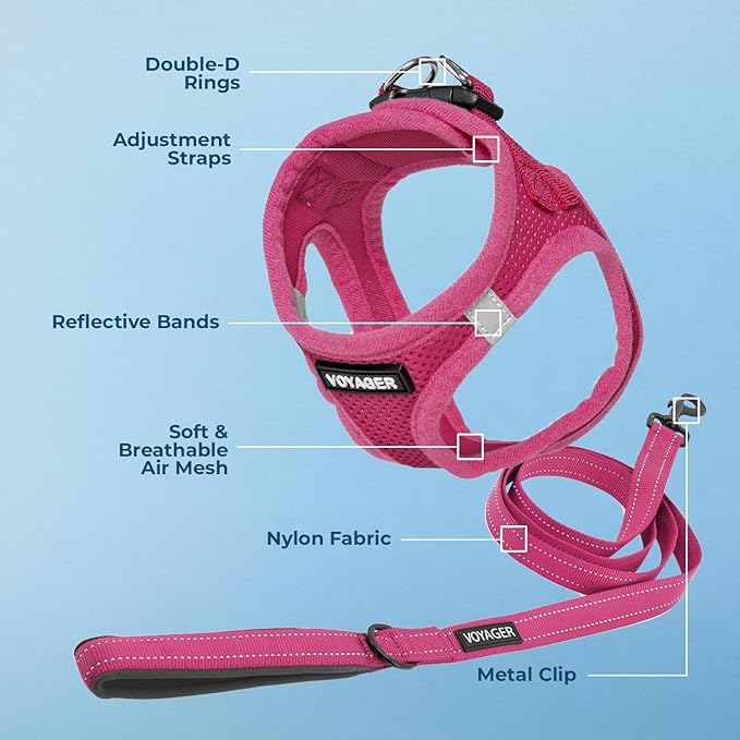 Best Pet Supplies Voyager Step-in Air All Weather Mesh Harness and Reflective Dog 5ft Leash Combo with Neoprene Handle, for Small, Medium and Large Breed Puppies - Set (Fuchsia), Small