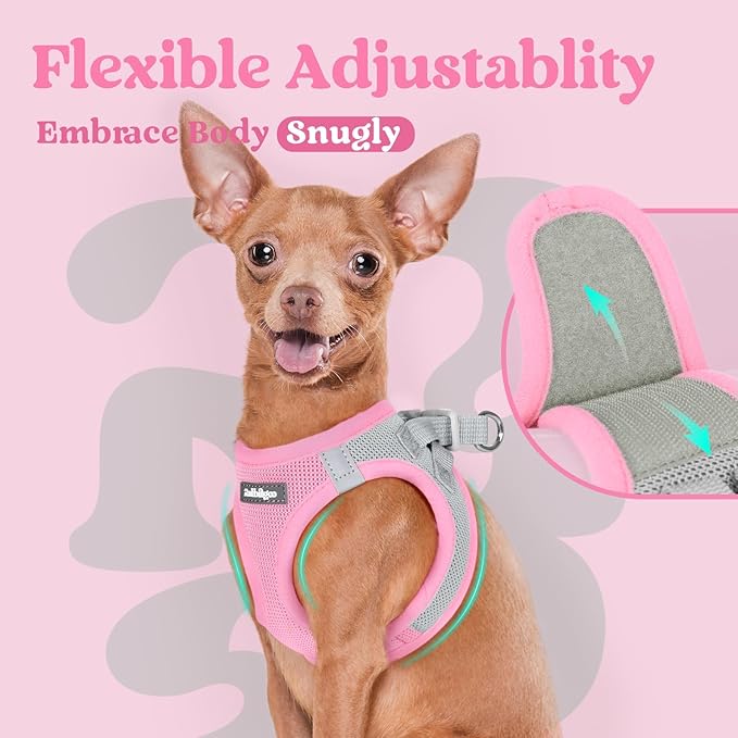 rabbitgoo Small Dog Harness, Step-in Soft Mesh Puppy Vest with Safety Buckle, Breathable Reflective Pet Harness for Small Medium Dogs, Pink & Gray L