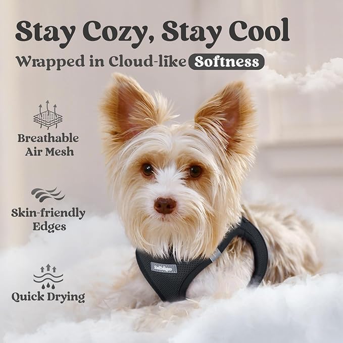 rabbitgoo Small Dog Harness, Step-in Soft Mesh Puppy Vest with Safety Buckle, Breathable Reflective Pet Harness for Extra Small Dogs, Black XXS