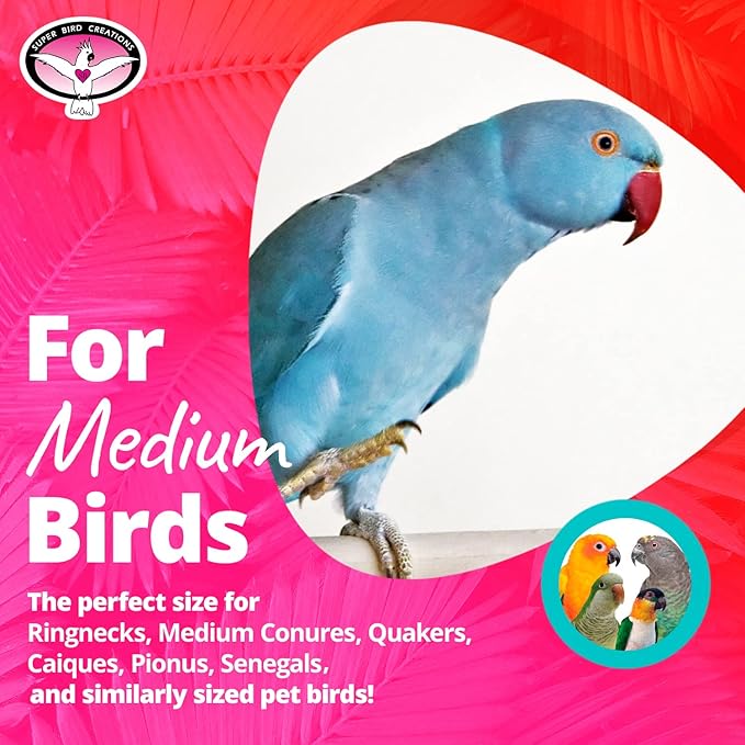 Super Bird Creations SB324 Colorful Cotton Rope Bungee Bird Toy, Medium Bird Size, 3/4" Diameter x 66"