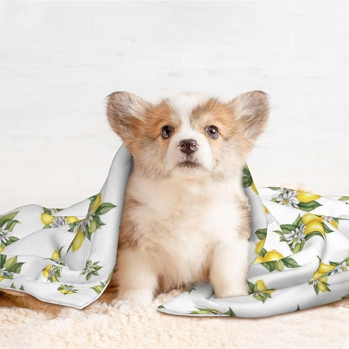 Dog and Cat Blanket in One, Yellow Lemons Trees With Green Leaves And White Flower Summer Plant, Double Sided Plush Throw with Raised Dot Pattern on One Side and Flat Velvet on Other for Variety