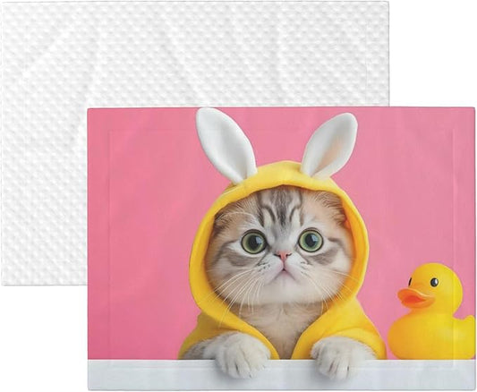 Waterproof Dog Blanket Soft Pet Blanket for Puppy, Fleece Cat Throw Blankets for Furniture Bed Couch Sofa Reversible - A Funny Cat
