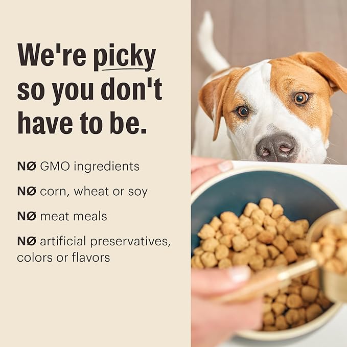 The Honest Kitchen Whole Food Clusters Grain Free Turkey Dry Dog Food, 1 lb Trial Pouch
