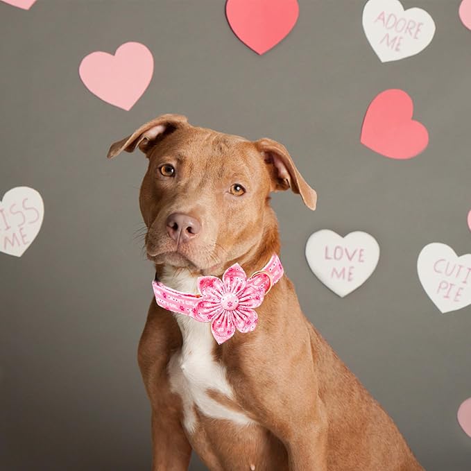 Lionheart glory Valentine's Day Dog Collar with Flower Dog Collars Pink Collars for Small Dogs, Spring Pet Puppy Collar Flowers