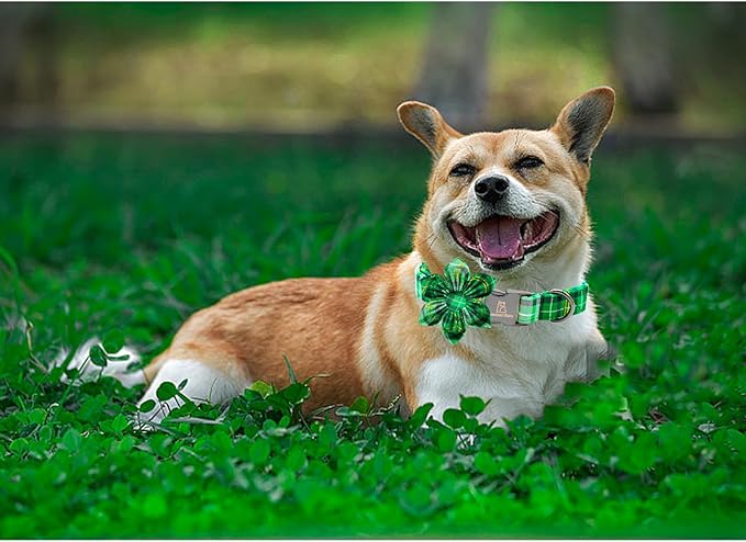 Lionheart glory St. Patrick's Day Dog Collar with Flower Dog Collar for X-Small Dogs, Green Plaid Cute Collars Spring Dogs Collars Flower Puppy Heavy Duty Cute