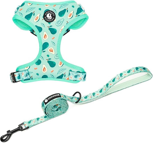 Dog Cat Harness and Leash Set, Puppia Soft Mesh Padded and Adjustable Puppy Vest Cute Dog Clothes Escape Proof Easy Walk Pet Accessories