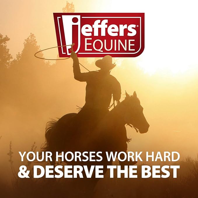 Jeffers Equine Protective Horse Boots 1 Pair Black - Safe Neoprene Leg Guards & Comfortable Fit, Durable Strap Closures, Front & Hind Support, Equestrian Accessories for Travel & Riding - Small