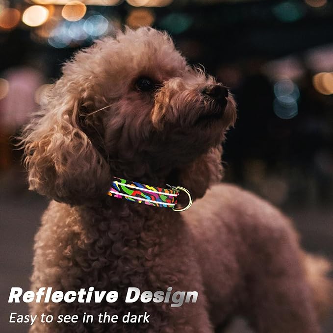 Reflective Dog Collar for Extra Small Dogs, Cute Boho Adjustable Heavy-Duty Nylon Puppy Collar for Boy and Girl Female, Soft Pet Accessories with Quick Release Buckle, Abstract Rainbow Art