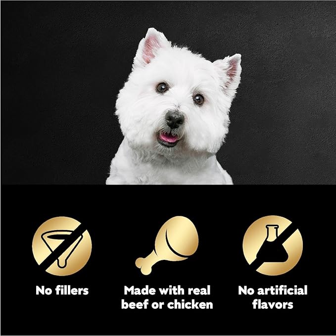 Cesar Filets in Gravy Wet Dog Food Filet Mignon Flavor, Rotisserie Chicken Flavor, and Wood-Grilled Chicken Flavor Variety Pack, 1.76 oz. Mini-Pouches (40 Count, Pack of 1)