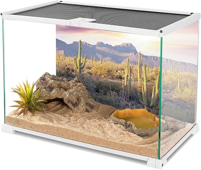 AWERT Reptile Habitat Background Blue Sky Oasis Mountain Cactus Sun and Desert Terrarium Background 36x20 inches