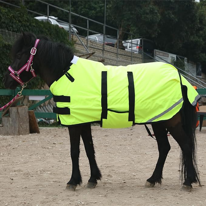 Foal/Mini Horse Size 30"-48" Waterproof & Breathable 300 Denier Winter Turnout Blanket with 150g Polyfill Green Large