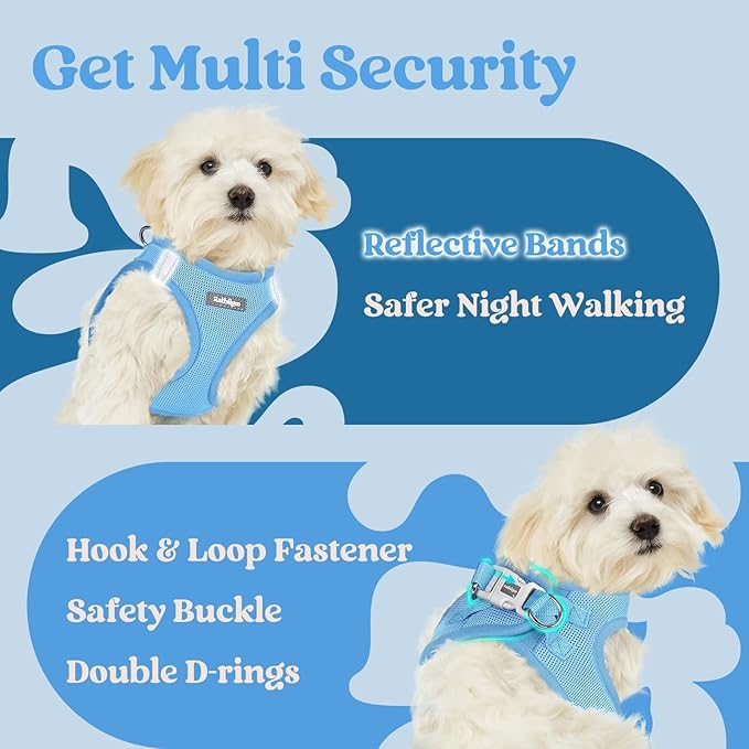 rabbitgoo Small Dog Harness, Step-in Soft Mesh Puppy Vest with Safety Buckle, Breathable Reflective Pet Harness for Small Medium Dogs, Blue L