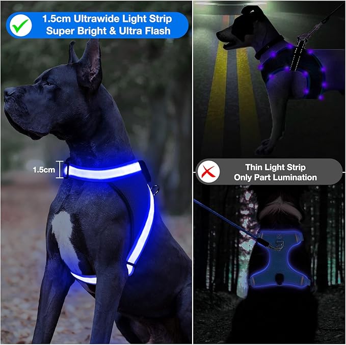 ChalkLit Light Up Dog Harness, No Pull Led Dog Harness Glow-in-The-Dark for Night Walking, USB Rechargeable Lighted Safety Vest for Small Dogs, Adjustable Soft Mesh Fully Illuminated (Blue, Small)