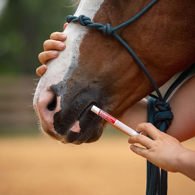 Jeffers Ivermectin Gel Dewormer for Horses - Apple Flavored, Broad Spectrum Dewormer Paste - Effective Parasite Control for Worms, Pinworms, Bots & More - Safe for All Equine, 12 Pack