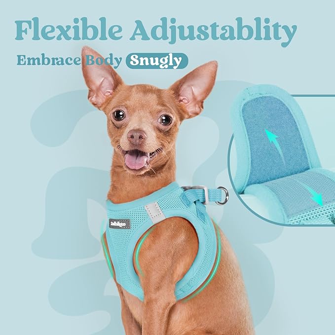 rabbitgoo Small Dog Harness, Step-in Soft Mesh Puppy Vest with Safety Buckle, Breathable Reflective Pet Harness for Small Sized Dogs, Mint Blue M