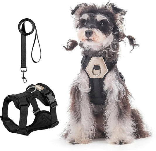 Small Dog Harness and Leash Set, Breathable Mesh Puppy Harness, Adjustable Dog Harness for Small Medium Large Dogs, No-Pull Pet Harness for Daily Walking (Black, Medium)