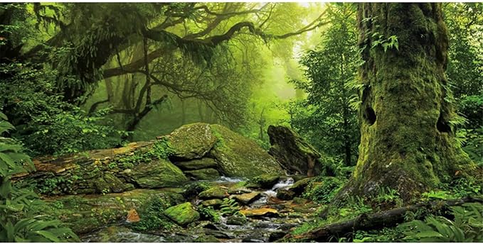 AWERT 48x24 inches Tropical Forest Terrarium Background Stream Green Huge Tree Reptile Habitat Background Foggy Rainforest Aquarium Background Durable Polyester Background