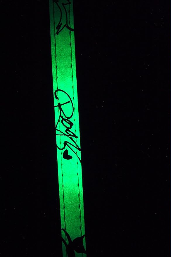 Rogz Glow in the Dark Reflective Cat Collar with Breakaway Clip and Removable Bell, fully adjustable to fit most breeds, Jumping Black Cat Design