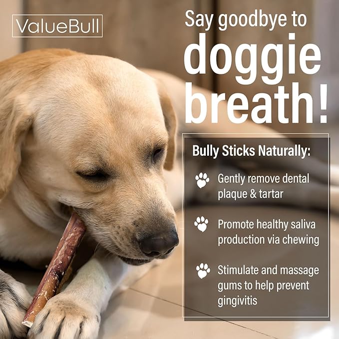 ValueBull Bully Sticks for Dogs, Thick 12 Inch, 100 Count - All Natural, Grass Fed, Single Ingredient, Long Lasting Dog Treats