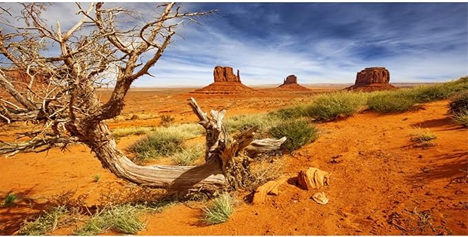 AWERT 72x16 inches Reptile Habitat Background Orange Desert Terrarium Background Durable Polyester Background