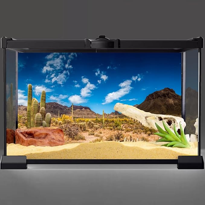 AWERT 24x16 inches Reptile Habitat Background Blue Sky Oasis Cactus Desert Terrarium Background Vinyl