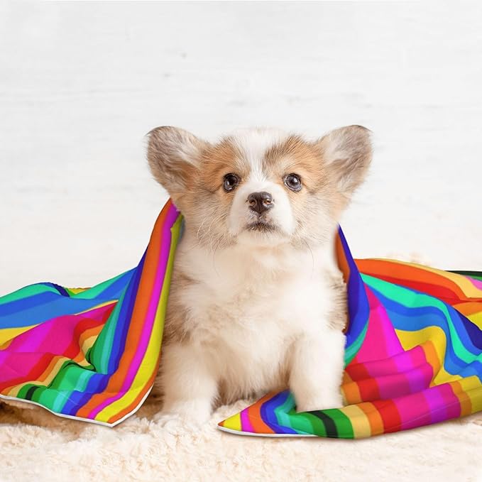 Double Sided Pet Mat for Dog Bed Topper Cat Blanket Furniture Protector, Novel Colorful Mexican Blanket Stripes, Reversible Plush with Tactile Dot Pattern for Style Change