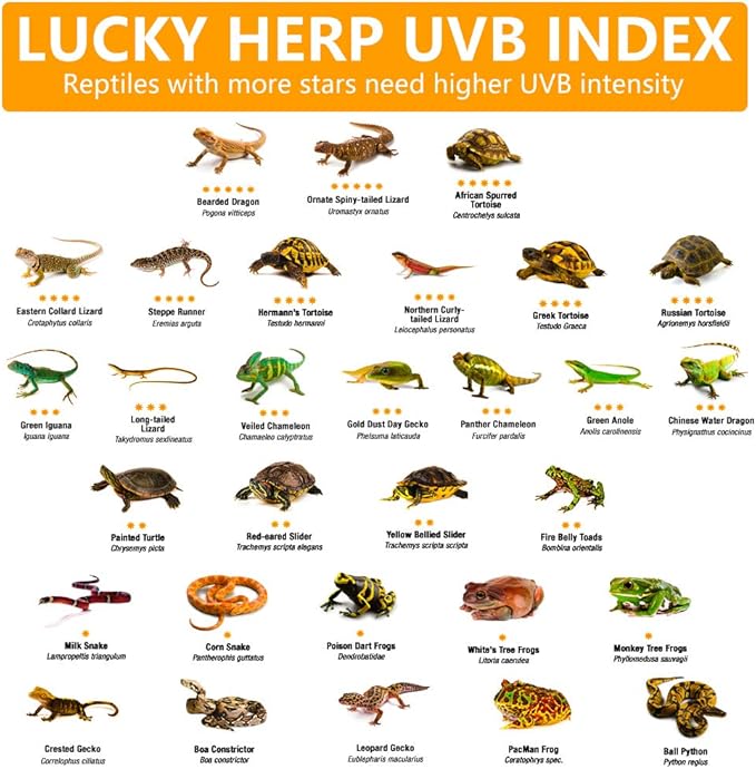 LUCKY HERP 160 Watt UVA+UVB Vapor Heat Lamp Bulb, High Intensity Self-Ballasted Heat Basking Lamp/Bulb/Light for Reptile and Amphibian, Sun Lamp for Bearded Dragon Lizard Turtle