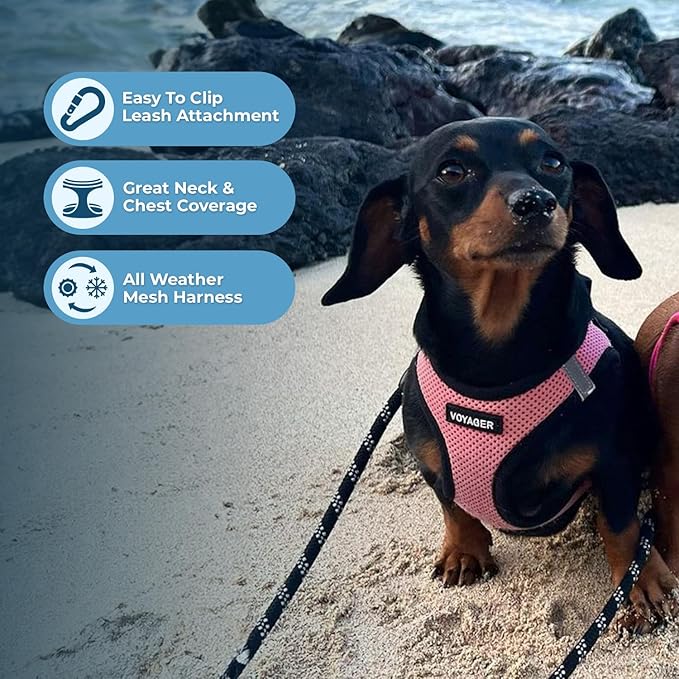 Best Pet Supplies - All Weather Mesh / Plush, Reflective, No Pull Harness for Small, Medium Dogs, Cats - Secure with Hook & Loop Fastener, Buckle, Double D-Rings - Pink/Black Trim, XL