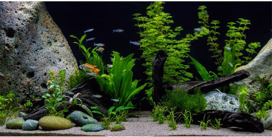 AWERT Vinyl Underwater Aquatic Plant Fish Tank Background Stone River Bed & Lake Aquarium Background 30x18 inches