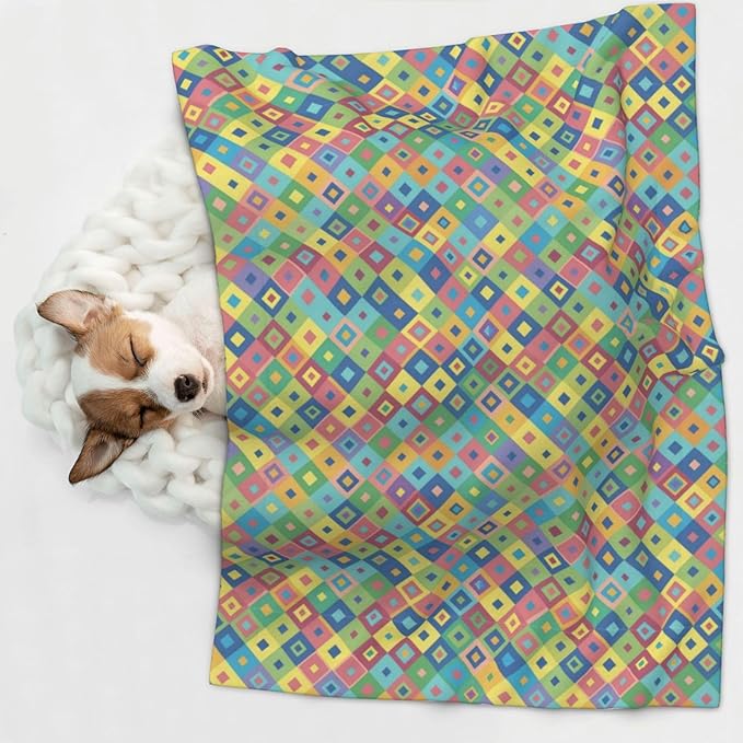 Double Sided Plush Pet Blanket with Cozy Dot Texture and Smooth Reverse, Rainbow Diagonal Plaid, Reversible Throw for Dogs Cats on Couches Beds Crates