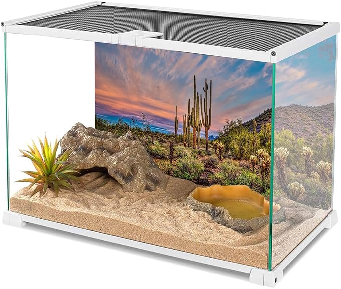 AWERT 72x18 inches Terrarium Background Blue Sky Cloud Huge Cactus Oasis Gobi Reptile Habitat Background Vinyl