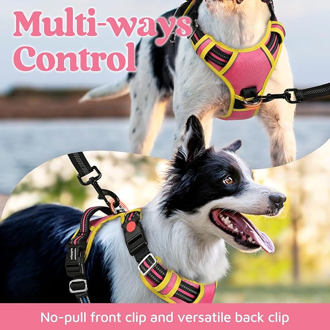 rabbitgoo Dog Harness Small Sized, No Pull Dog Vest with 3 Buckles, Adjustable Soft Padded Pet Harness with Easy Control Handle and Reflective Strips, Pink & Yellow, S