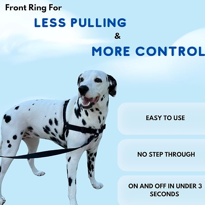 ShawnCo Dream Walk No-Pull Dog Harness- Adjustable, Comfortable, Easy to Use Pet Halter to Help Stop Pulling for Small, Medium and Large Dogs (Mustang Red, M)