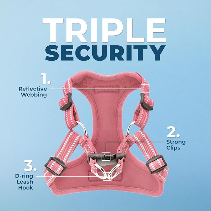 Best Pet Supplies Voyager Adjustable Step-in Flex Breathable Mesh Dog Harness for Small Medium Large Dogs Leash Set (Pink), XS